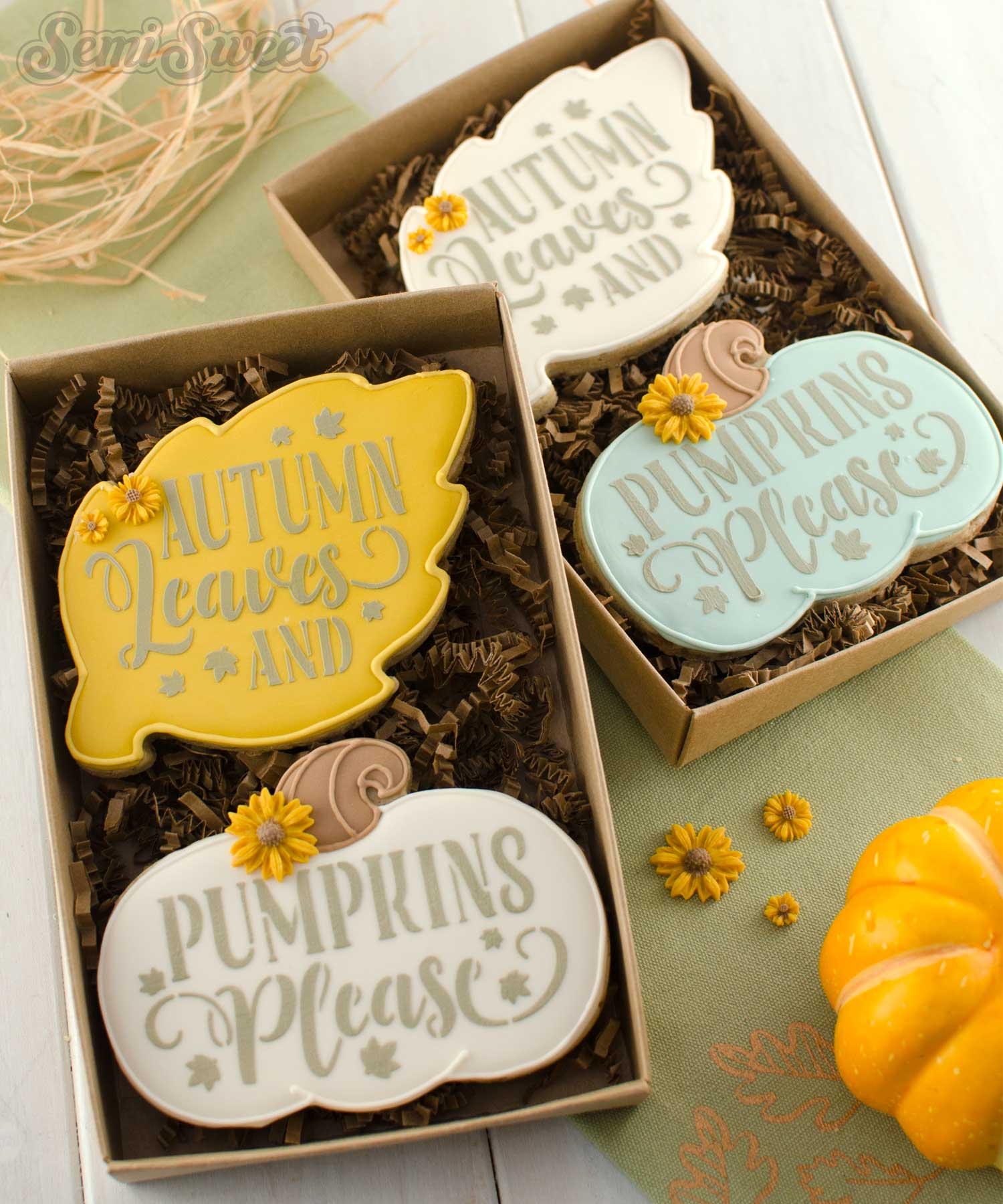 4-piece Autumn Leave Pumpkins Please Cookie Cutter & Stencil Bundle
