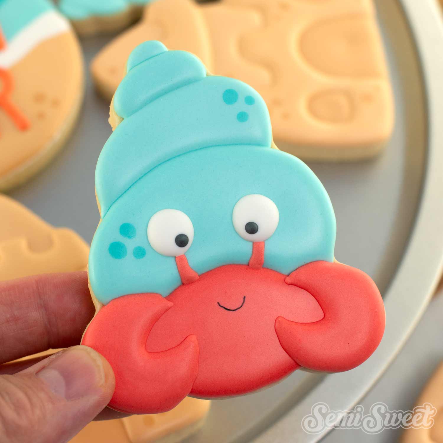 Sand Castle Hermit Crab Cookie Platter Set