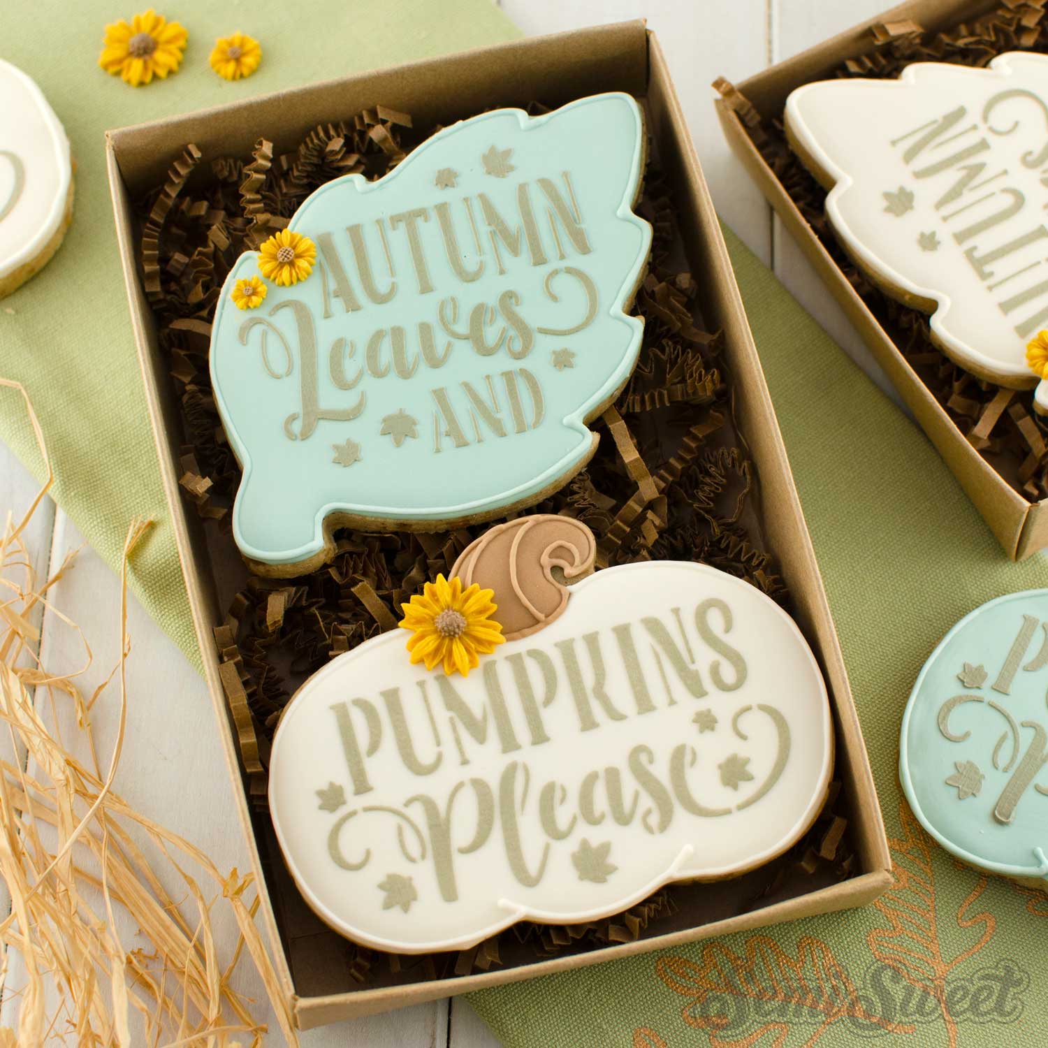 4-piece Autumn Leave Pumpkins Please Cookie Cutter & Stencil Bundle