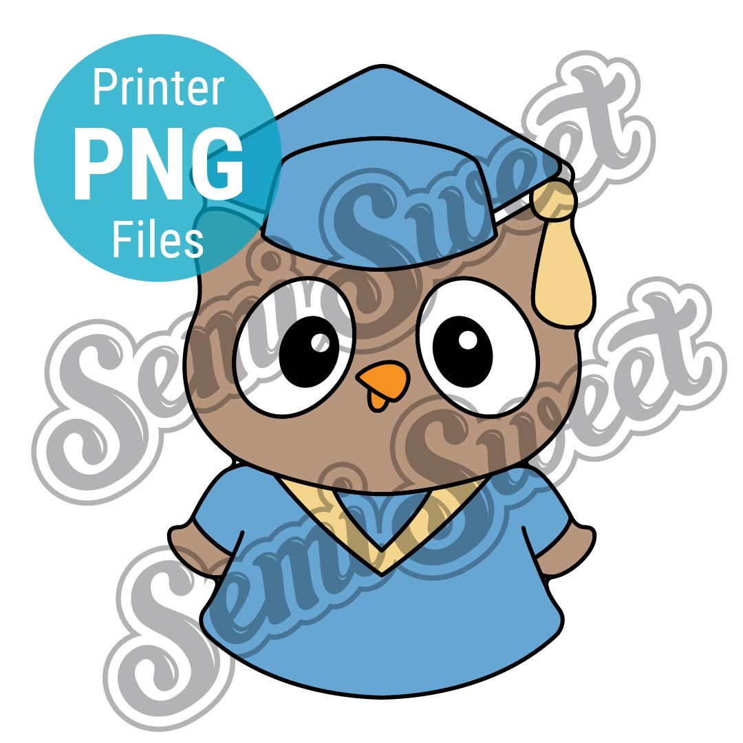 Graduation Owl - PNG Image
