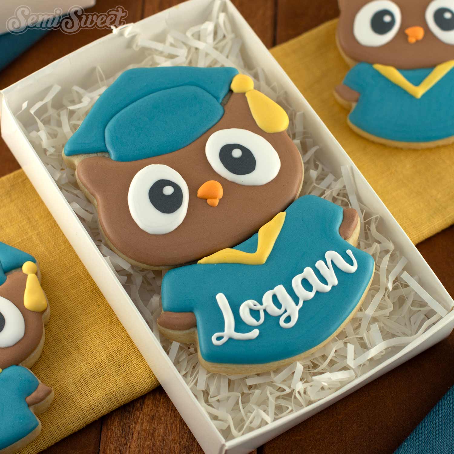 2-PC Graduation Owl Cookie Cutter Set