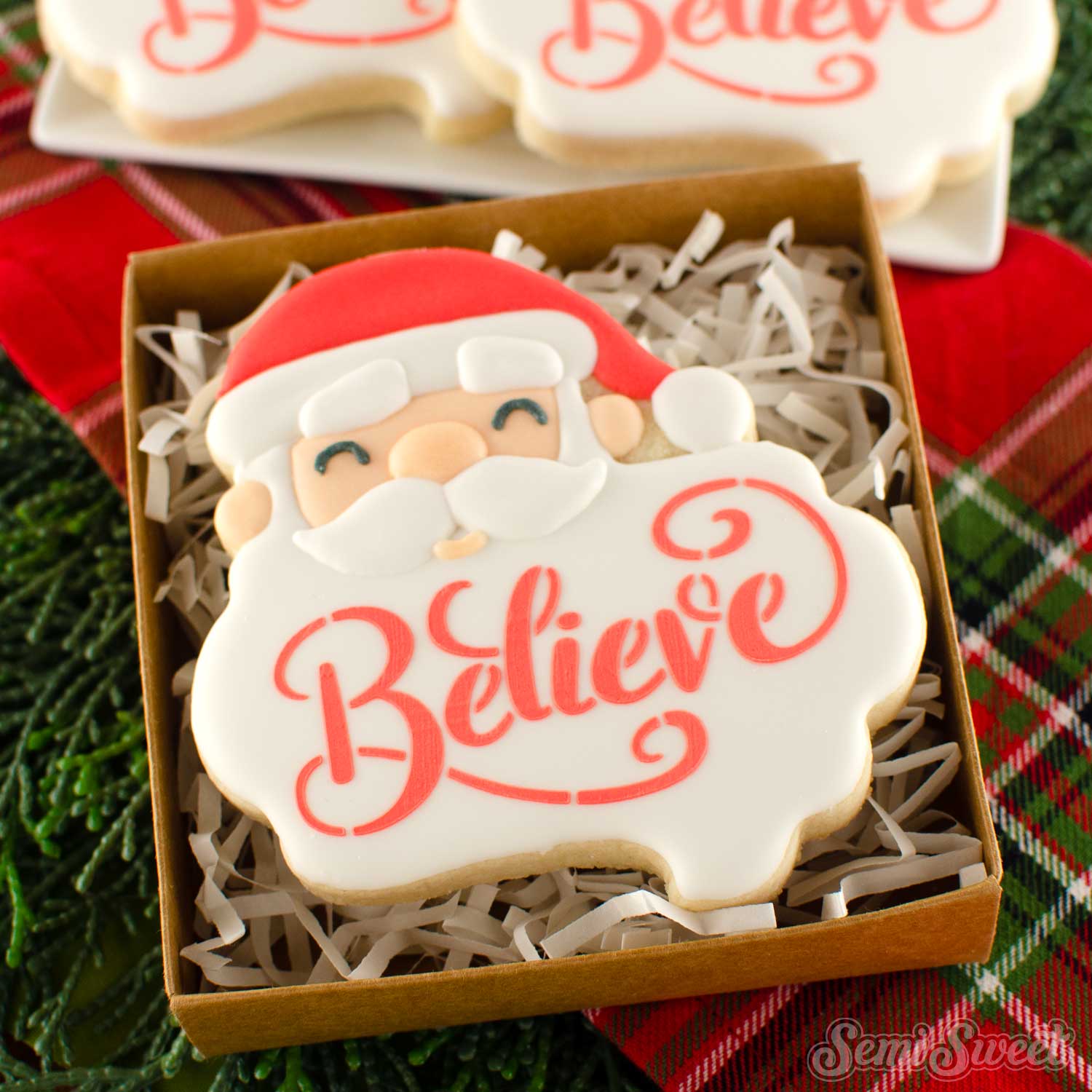 Santa Beard cookie with believe stencil